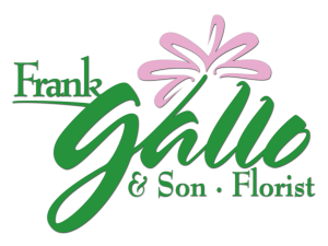 Frank Gallo Logo