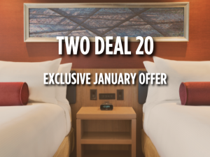 Two Deal 20 Offers